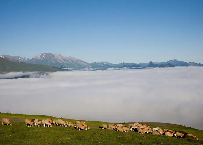 Le Viscos 3* Saint-Savin (Hautes-Pyrenees)