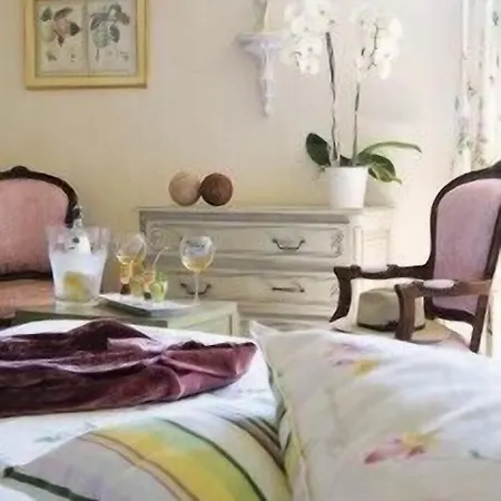 Le Viscos Hotel Saint-Savin (Hautes-Pyrenees)